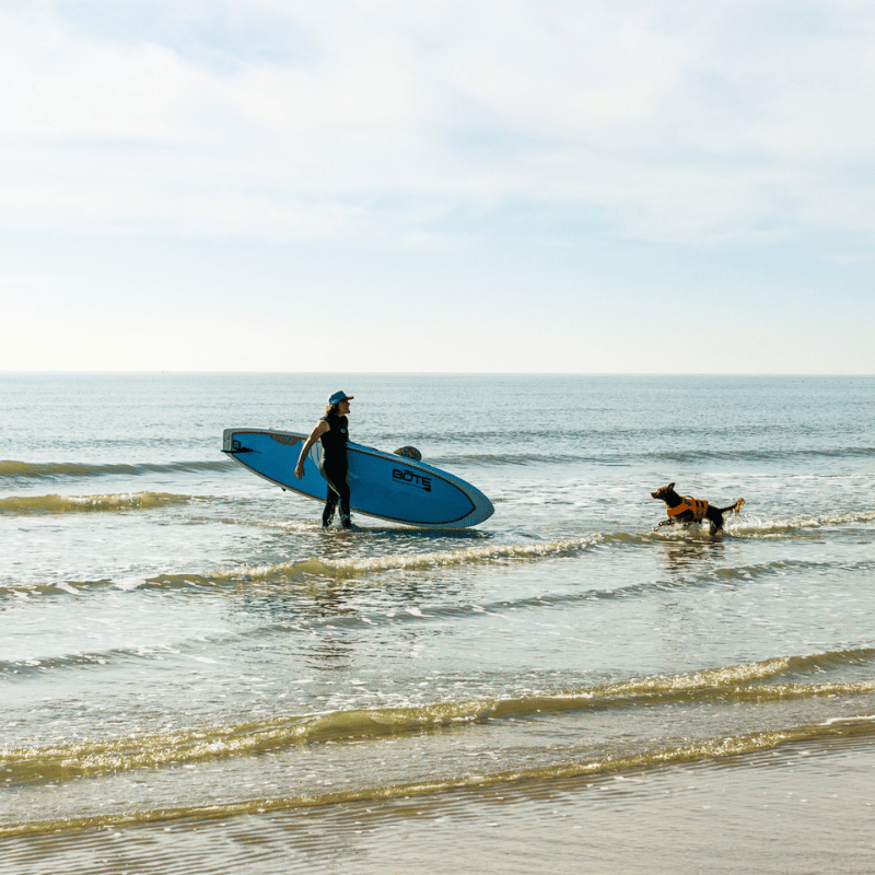 Image for Events La Izquierda Surf and Music Festival